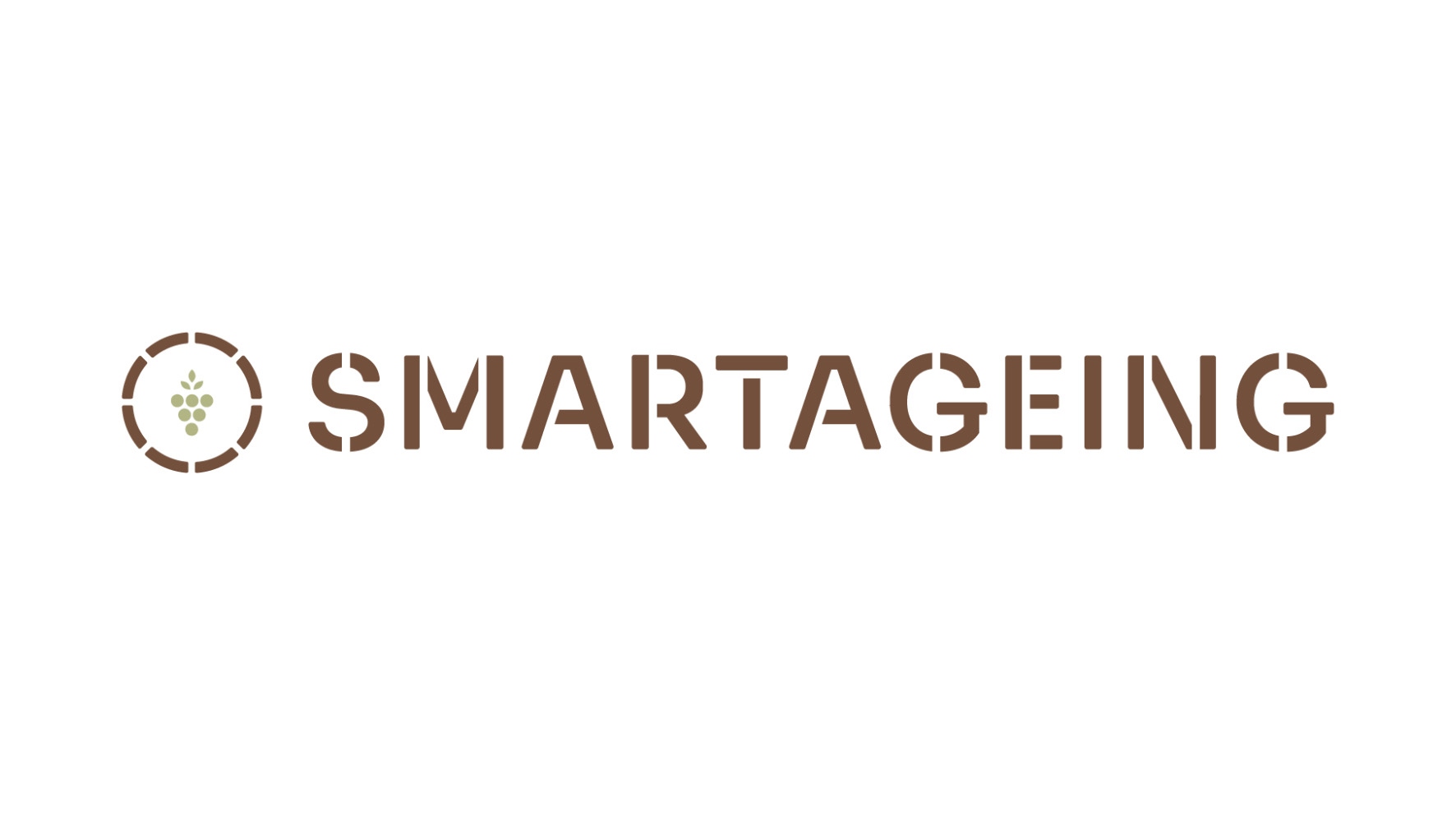 SMARTAGEING – Decision Support System for Ageing White Port Wine